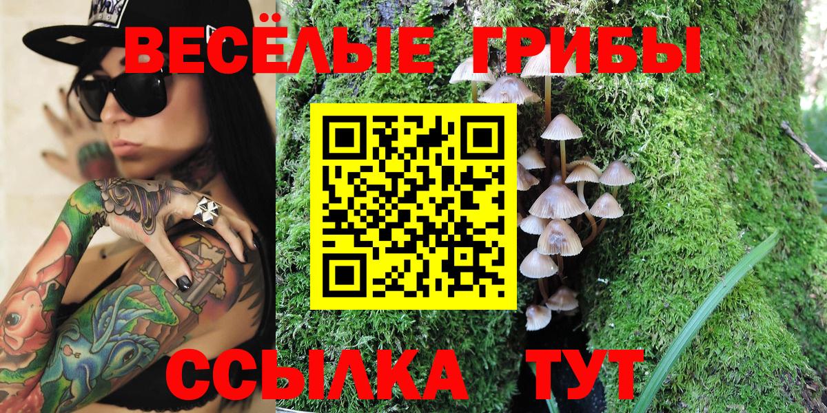 Псилоцибиновые грибы Psilocybe  Вход с VPN  Чехов  Галлюциногенные грибы Cubensis 