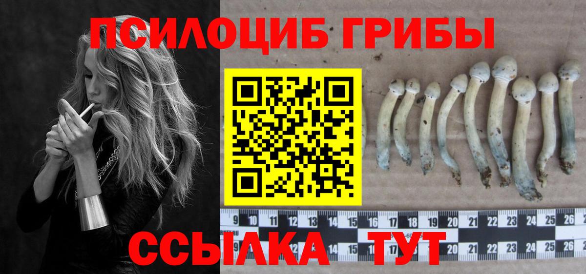 МЕФ кристаллы  Меф  Канабис  Вход с VPN  Чехов  ГАШ  КОКАИН 